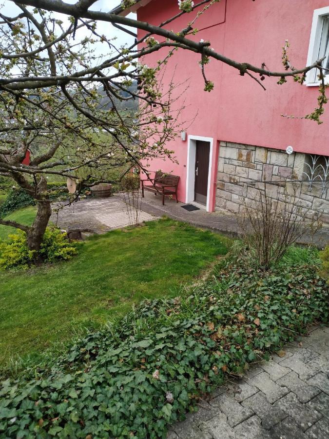 Ferienwohnung Haus Barbara Bad Brückenau Εξωτερικό φωτογραφία